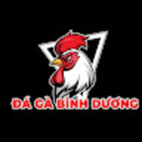 Đá Gà Bình Dương - Tuyển Tập đá Gà Online đẳng Cấp 2025