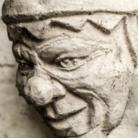 Momodrus