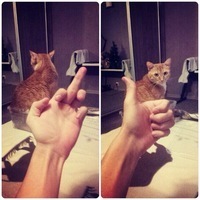 PipiR_MaJIai