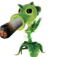 Volrod