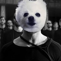 ImagineDoggos