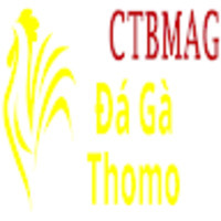 Đá Gà Trực Tiếp Thomo