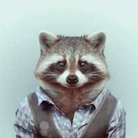 FoxBeard