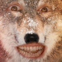Vuxy