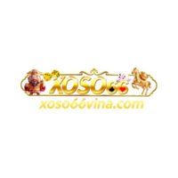XOSO66 VINA là website chuyên xổ số truyền thống hằng ngày