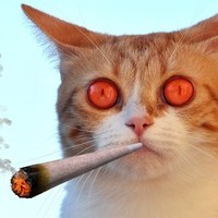 Ḑ̴̢̨̧̢̛̛̛̛̪̦̪̝̱͖̬̭̠͚̟͓̭̘̩̦̣̬͍͙̲̲͓͔̬̝͕̝͖͎̩̹̘͓̳̝̬̫̤̪̬̱͈͎̘̒̀͐̂͋̓́͐͊͒̿̿̎̊̃́̑͐͊͌̀͆͑͗̆̈́͒̽̃̄̑͂͊͌̀̒̈́̋͒̔͊͒̈́͐̀́̿̂̽̐̋͌͑̀̈́̊̉̂̒̽͋́͗̏̍͗͒͌͌̿̀̍̀͐̀̅̊̿̄̎̈́͊̑͗̓̌̑̎́̒̐͗͗͒̀̓͊͛̇̎̒̒͑̌̔̐̋̈́͐͂̇̏̆̉̌͋̎̈́͆̿̄̊͗͛̌̍̽̔̈͊̏͗͋̃̈́̍̓͆̈̂̊͒̌̉͑͒̎̓͆͗̎̃͆̅̐̚͘͘͘̕̚̚͜͝͝͠͝͝͝͝͝͠ͅͅŔ̵̇͑͋͋͋̌́͆͆̈́͊̓̔̾̓̚̚͝͝͠͝͠