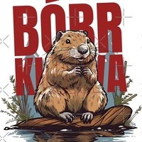 BOBERKURWA