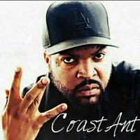 WestcoastAnt