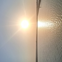 Abdollahi6821
