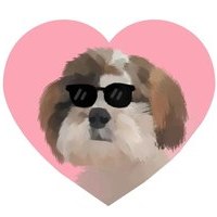 sh1fudog