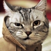 Константин Курчатов