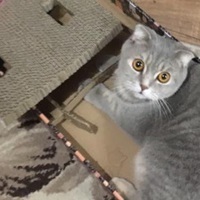 Прикольчики от Настюхи)