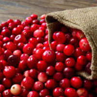 TheHumbleCranberry
