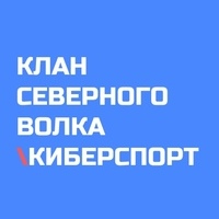 Клан Северного Волка | КИБЕРСПОРТ