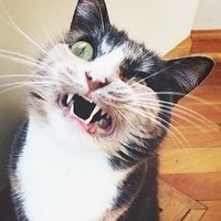 Александр Кравцов