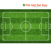 Sân bóng TheGioiTheThao