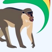 Basi
