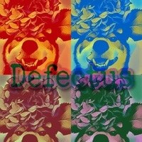 Defectus