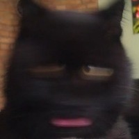 Сергей Малинкин