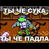 Vaykan Vaykanpro
