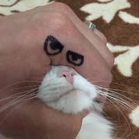 polosatiy