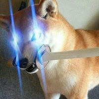 ashen53