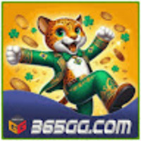 365gg