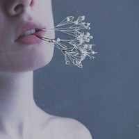 Jasmine
