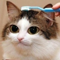 Алексей Костылецкий