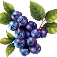 bigblueberry