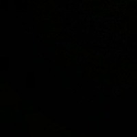 Friedrich Greifvogel