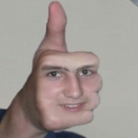 ProfessionalMemeRobber 