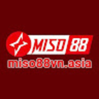 Miso88