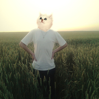 Restonov