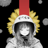 SOCPUNK