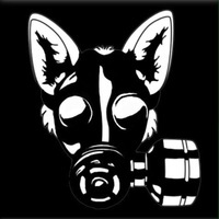TheGamingFuchs