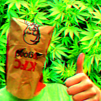 Илья Пиндрис