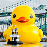 Yellow Duck