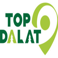 topdalatvn
