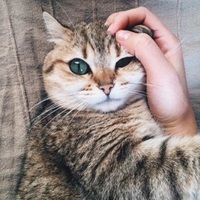 Арсений