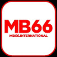 mb66international
