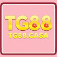 nhà cái  tg88