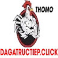 ĐÁ GÀ TRỰC TIẾP CLICK