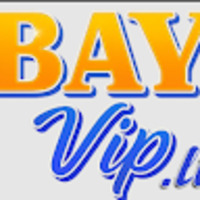 bayvipli1