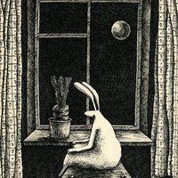 Adam Tóth