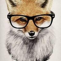 VillyFox