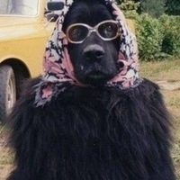 Вячеслав Елсуков