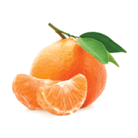 Space Tangerine