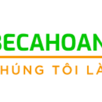becahoanggia