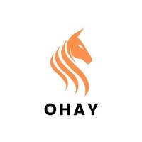 Ô Hay Kiến Thức Thú Vị